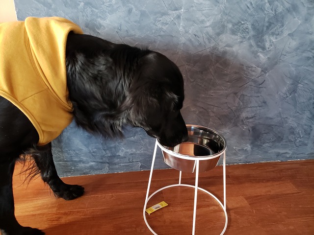 大型犬・食器スタンド